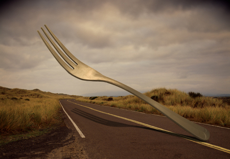 the fork in the road